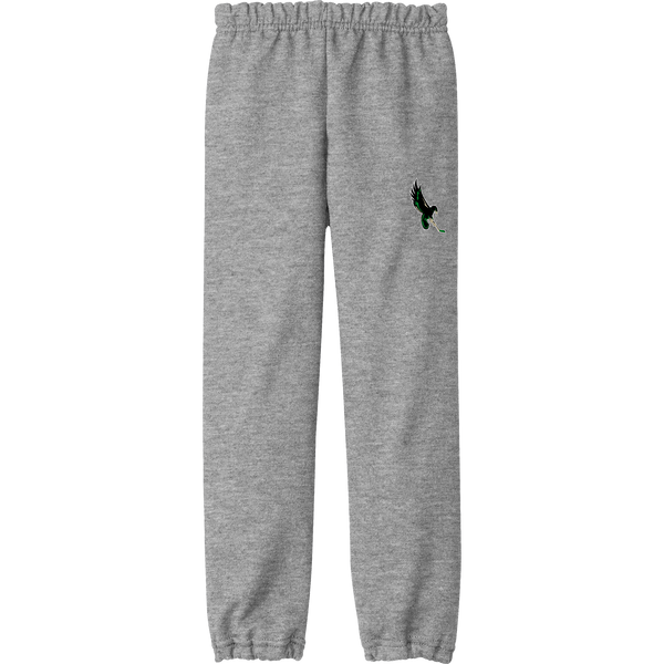 Wilmington Nighthawks Youth Heavy Blend Sweatpant