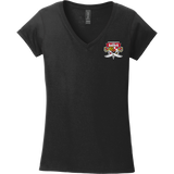 SOMD Lady Sabres Softstyle Ladies Fit V-Neck T-Shirt