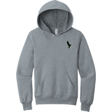 Wilmington Nighthawks Youth Sponge Fleece Pullover Hoodie