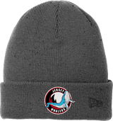 Jersey Shore Whalers New Era Speckled Beanie