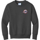 Metro Jr. Jets Youth Core Fleece Crewneck Sweatshirt