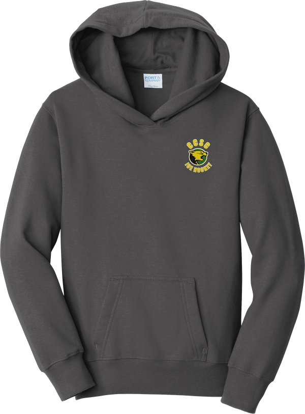 Chester County Youth Fan Favorite Fleece Pullover Hooded Sweatshirt