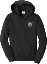 CT Bobcats Youth Fan Favorite Fleece Pullover Hooded Sweatshirt